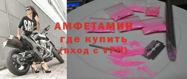 шишки Бородино