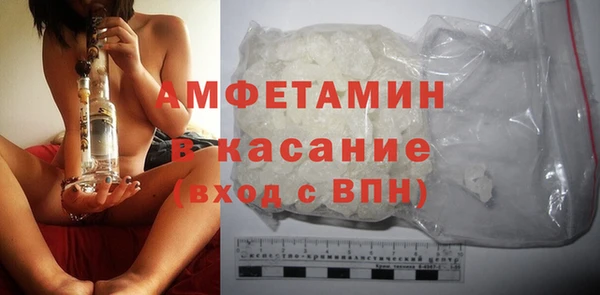 шишки Бородино