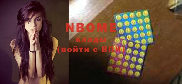 шишки Бородино