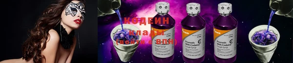 шишки Бородино