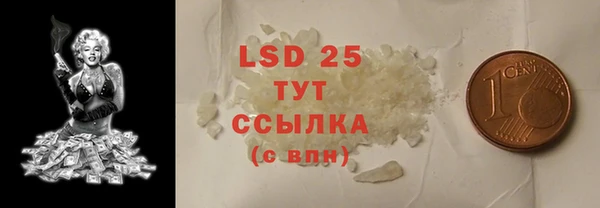 шишки Бородино