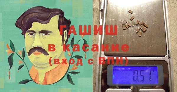 шишки Бородино