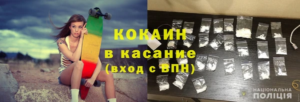 шишки Бородино