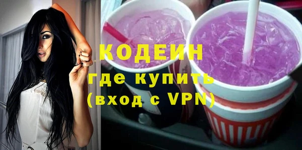 шишки Бородино